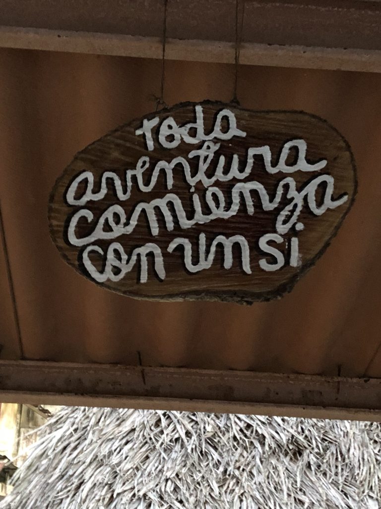 5818F77D-9AE9-44FF-88AC-EB6DB802650E