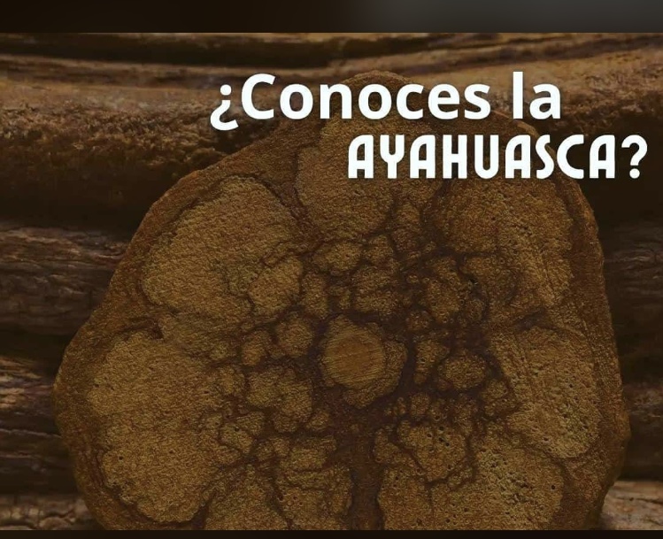 EF074372-DFD5-4F03-9F3E-8742978977BB