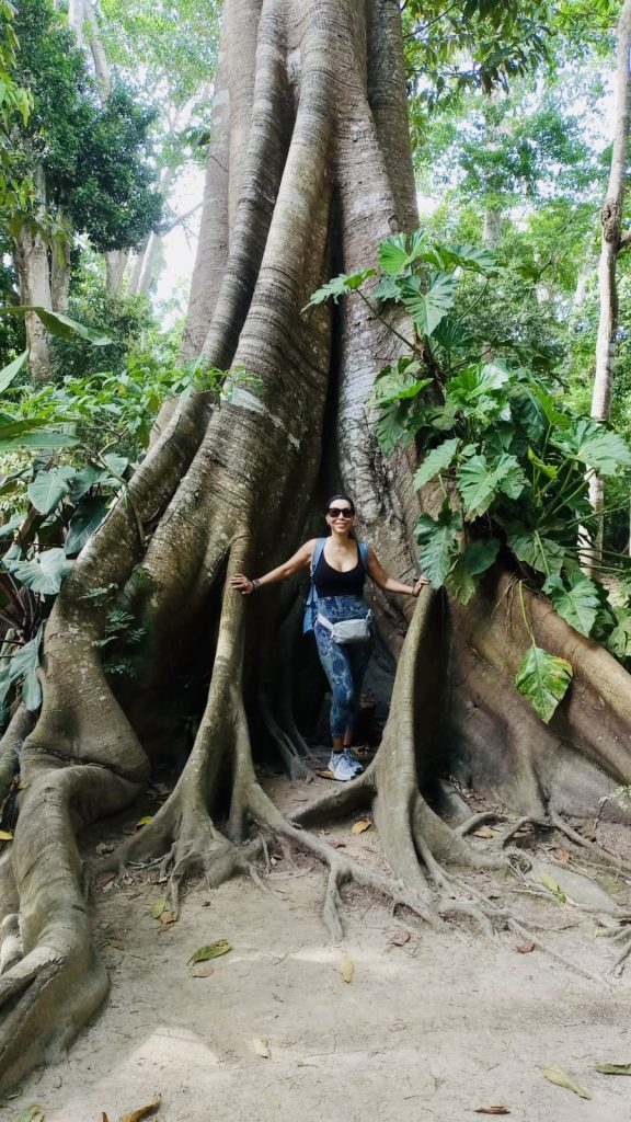 266F5EA0-E4BF-4EE5-ABEF-BC62F6836F6D