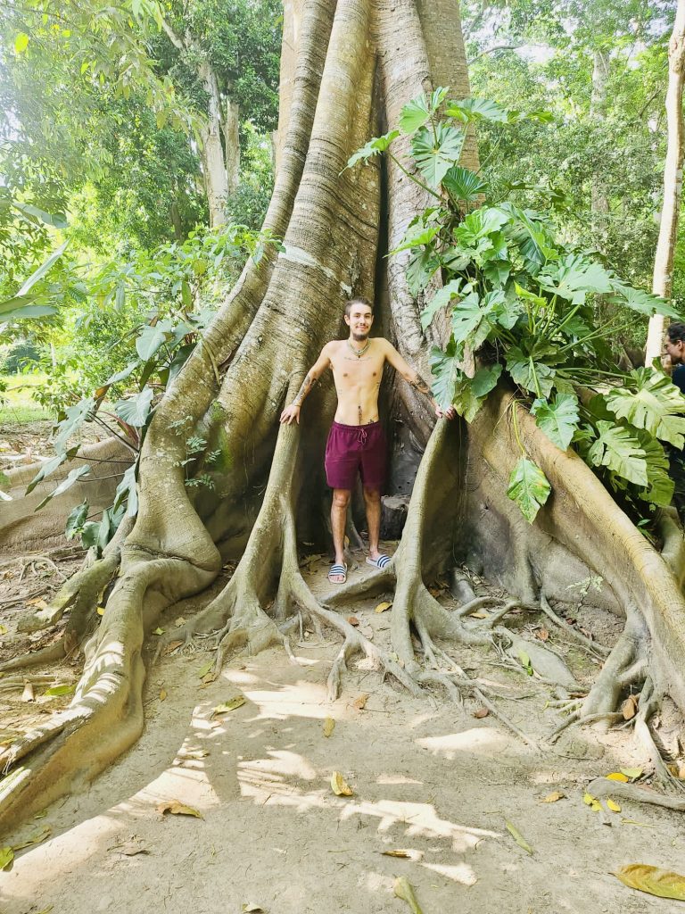 9907BA82-FEEA-4056-851F-5C2334E2448D