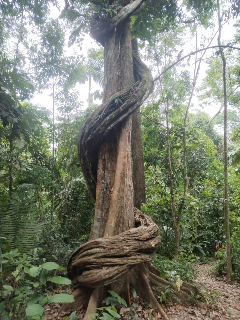 B27580E5-61F4-4F67-9419-BDF3AD5B16DB