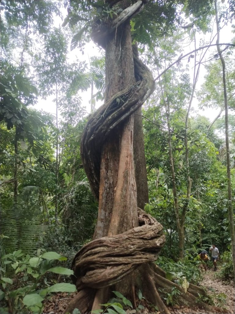 e8d49e53-a9b7-4b30-b062-ae027f28b62a