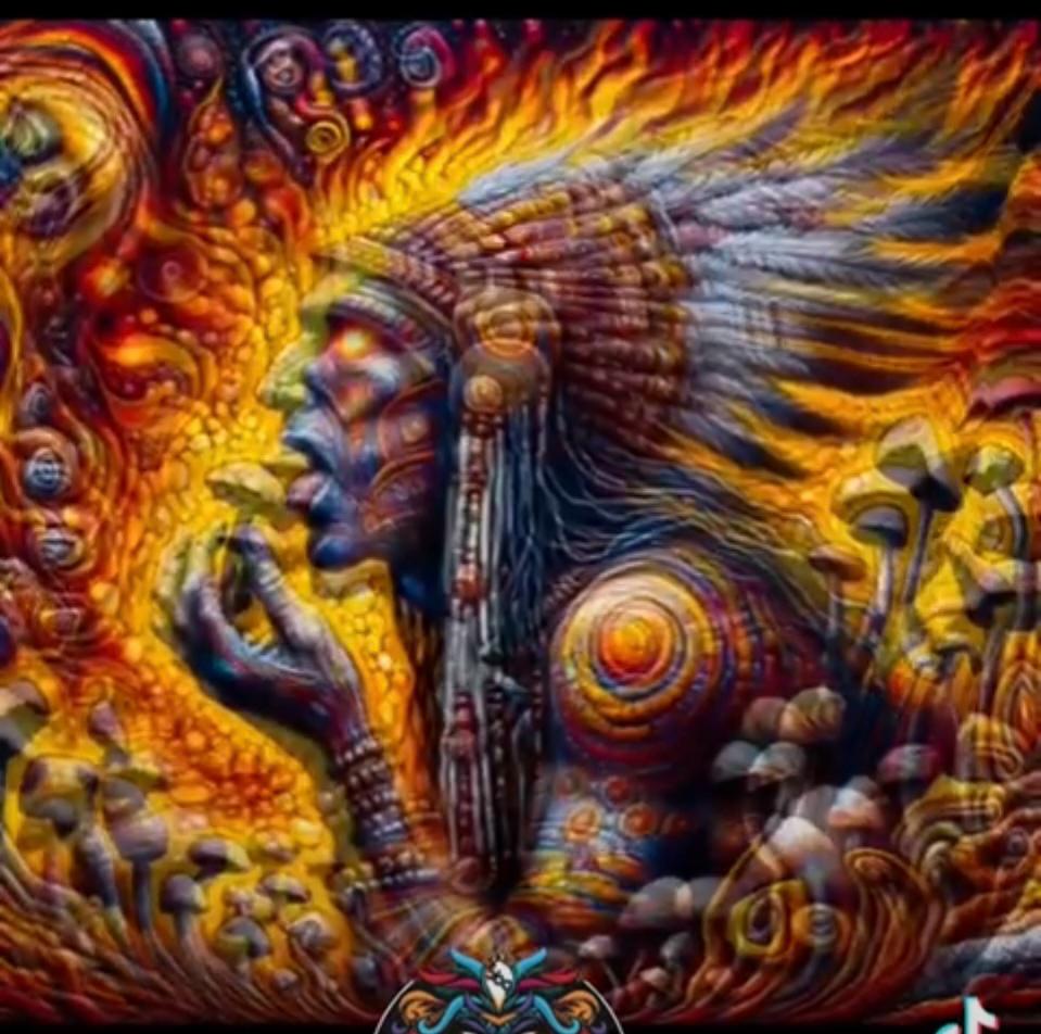 WhatsApp Image 2025-12-13 at 11.50.46_8f649095