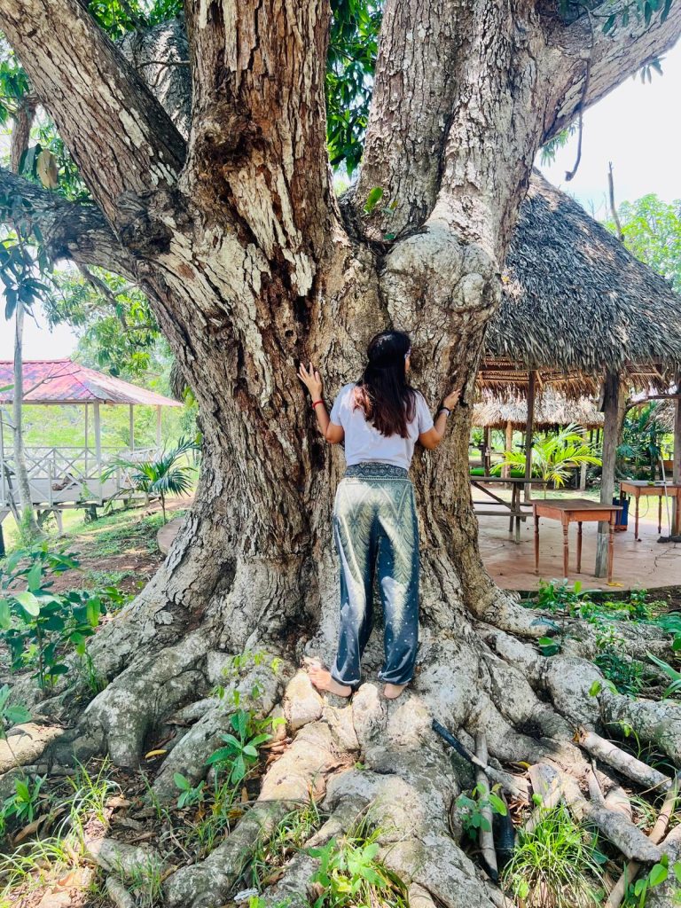 WhatsApp Image 2025-12-13 at 11.50.48_1c963ddf