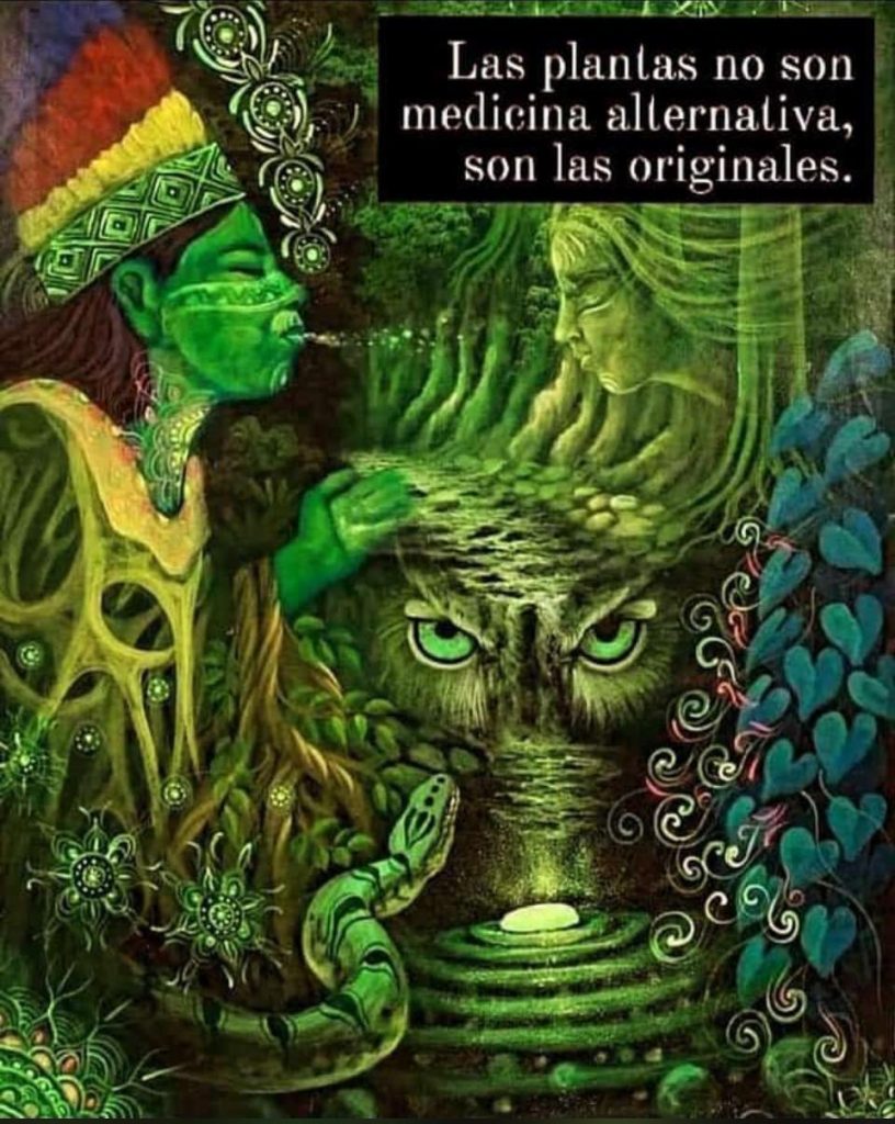 WhatsApp Image 2025-12-13 at 11.50.48_894bad94